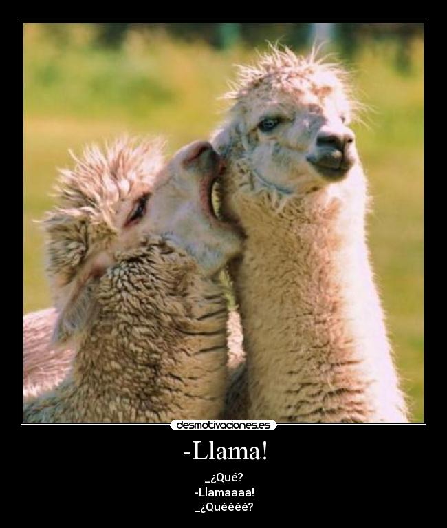 -Llama! - _¿Qué?
-Llamaaaa!
_¿Quéééé?