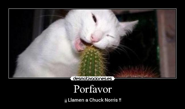 Porfavor -
