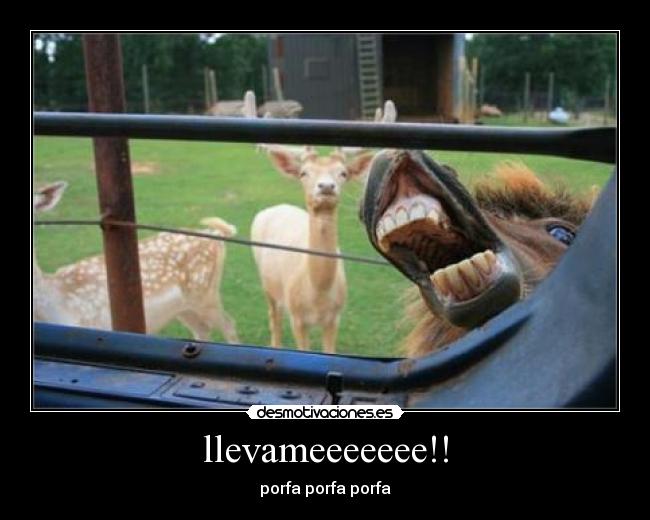 llevameeeeeee!! - porfa porfa porfa