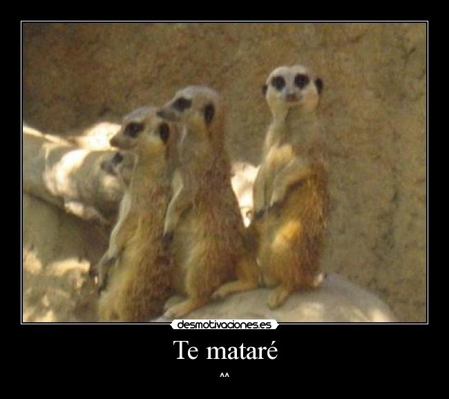 Te mataré -