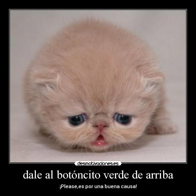 dale al botóncito verde de arriba - ¡Please,es por una buena causa!