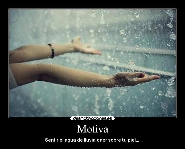 Motiva - 