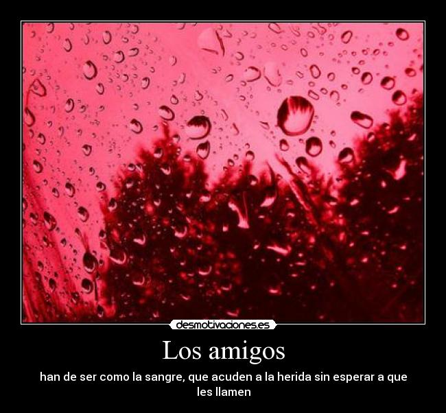Los amigos - han de ser como la sangre, que acuden a la herida sin esperar a que les llamen
