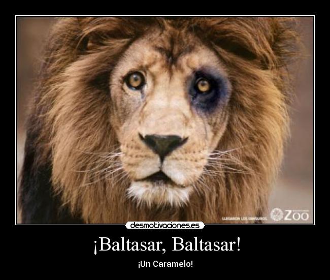 ¡Baltasar, Baltasar! - 