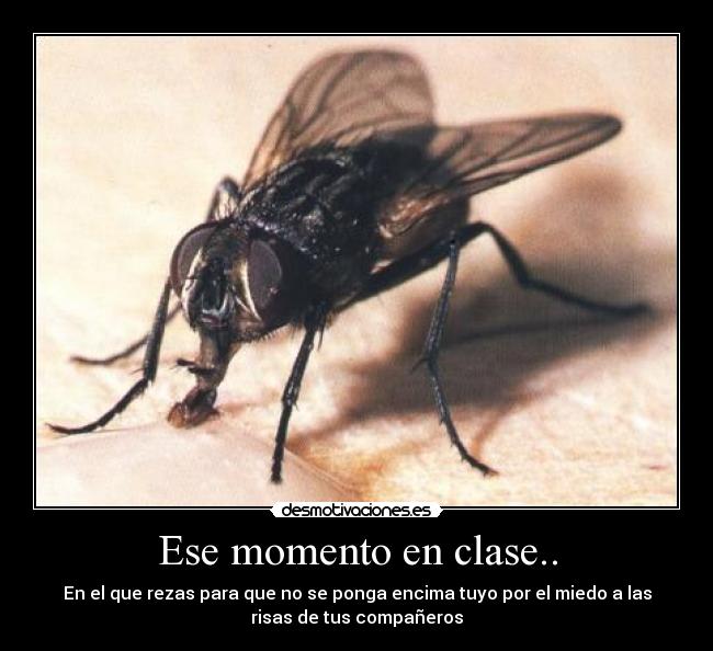 Ese momento en clase.. - 