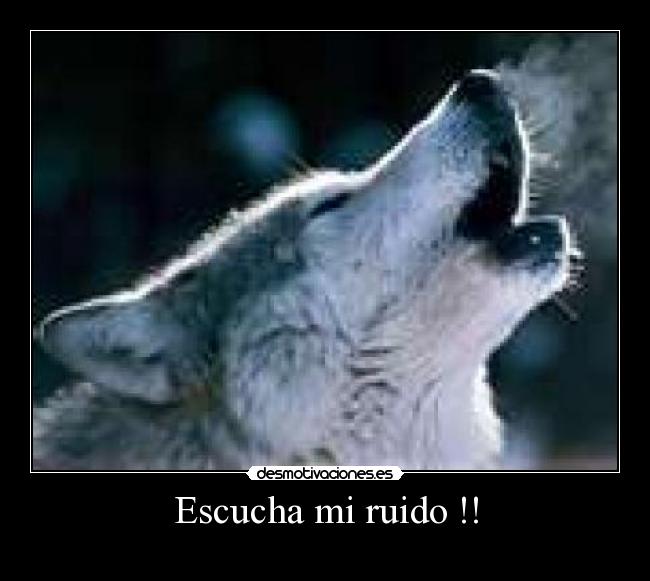 Escucha mi ruido !! -