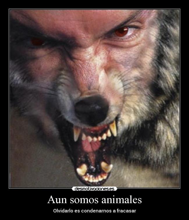 Aun somos animales - Olvidarlo es condenarnos a fracasar