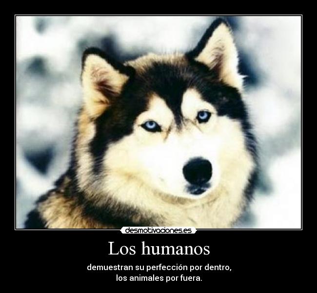 Los humanos - 