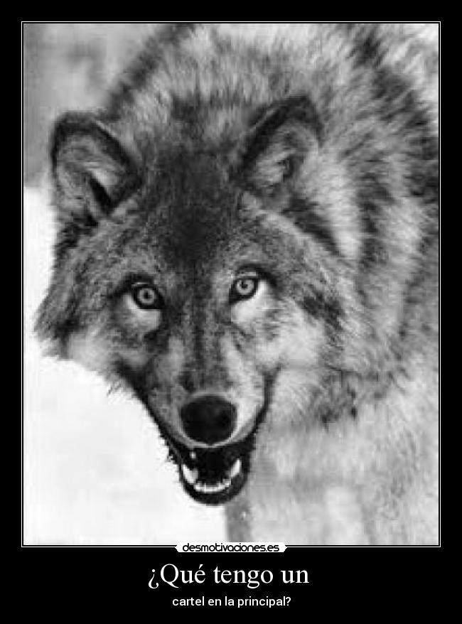 ¿Qué tengo un - cartel en la principal?