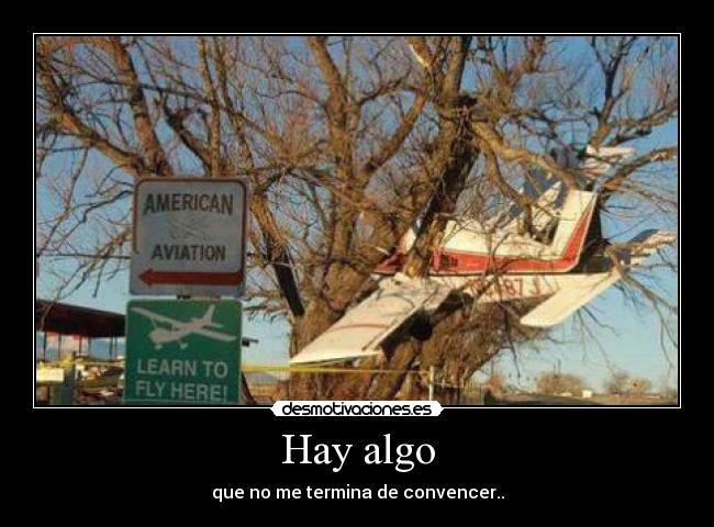 Hay algo - que no me termina de convencer..