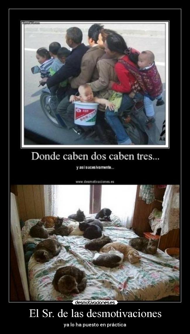 El Sr. de las desmotivaciones - 