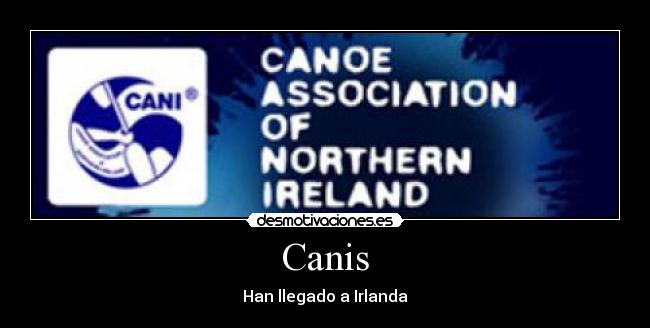 Canis - Han llegado a Irlanda