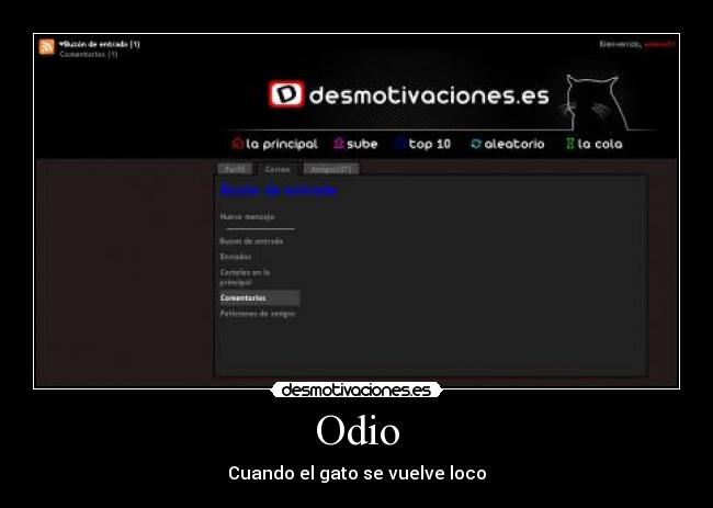 Odio - Cuando el gato se vuelve loco