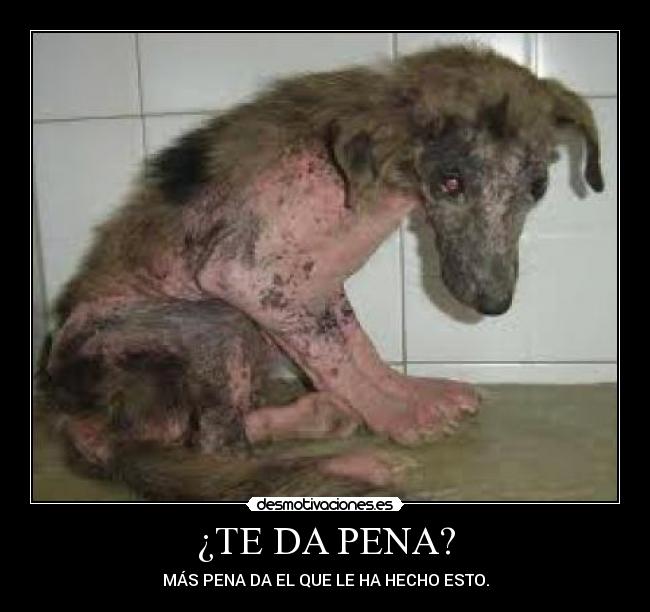 ¿TE DA PENA? -