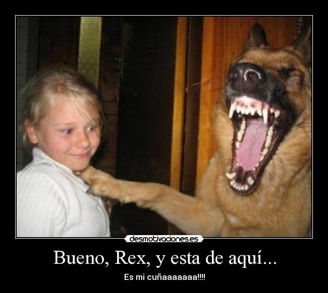 Bueno, Rex, y esta de aquí... - 