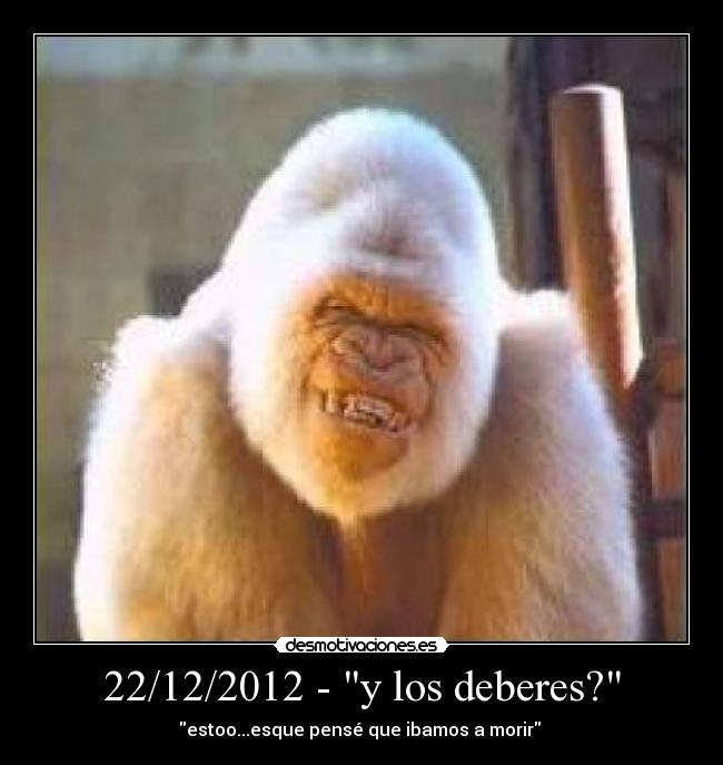 22/12/2012 - y los deberes? - 