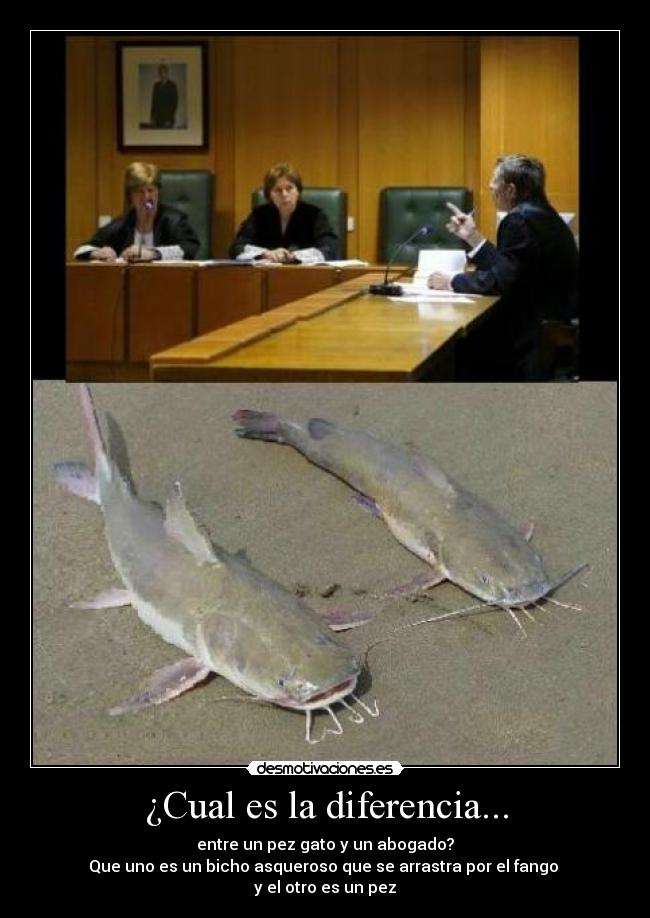 ¿Cual es la diferencia... - entre un pez gato y un abogado?
Que uno es un bicho asqueroso que se arrastra por el fango 
y el otro es un pez