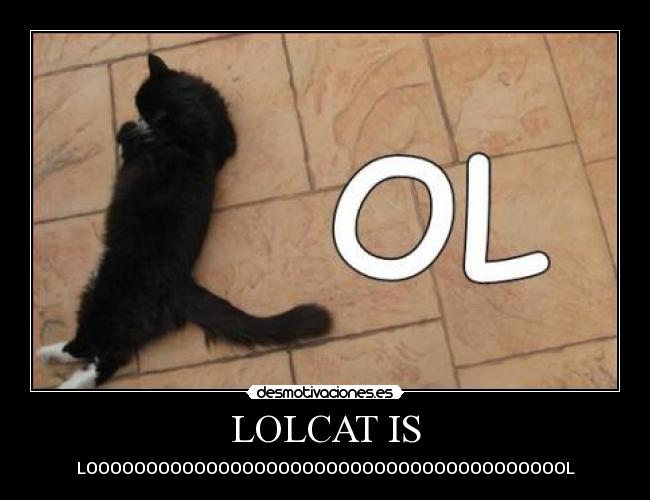 LOLCAT IS - 