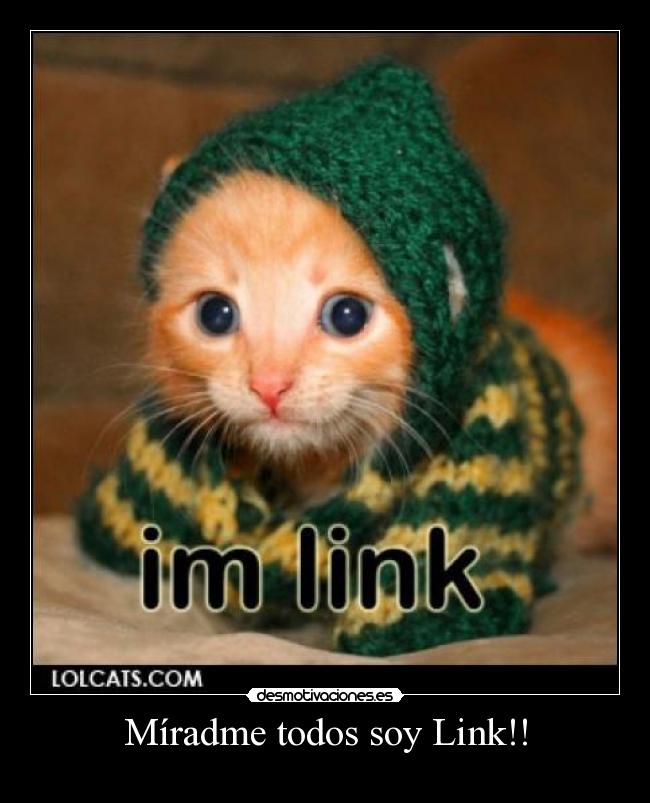 Míradme todos soy Link!! -