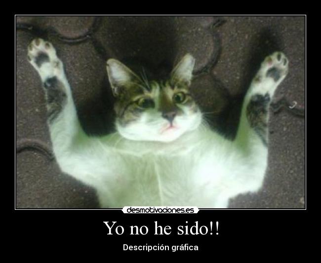 Yo no he sido!! - Descripción gráfica