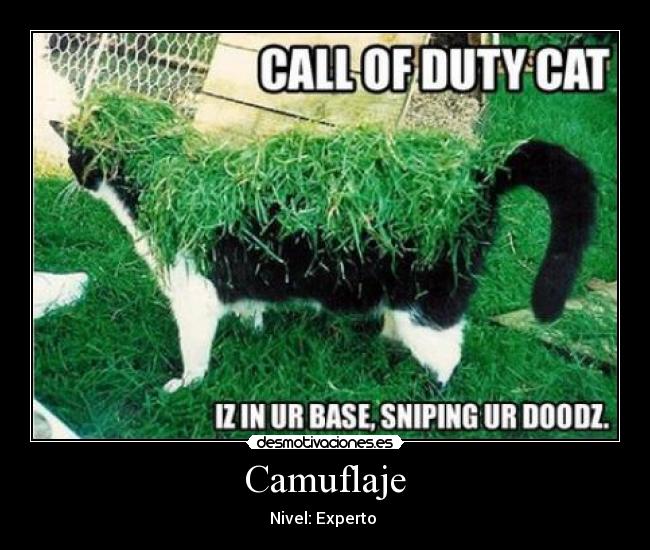 Camuflaje -