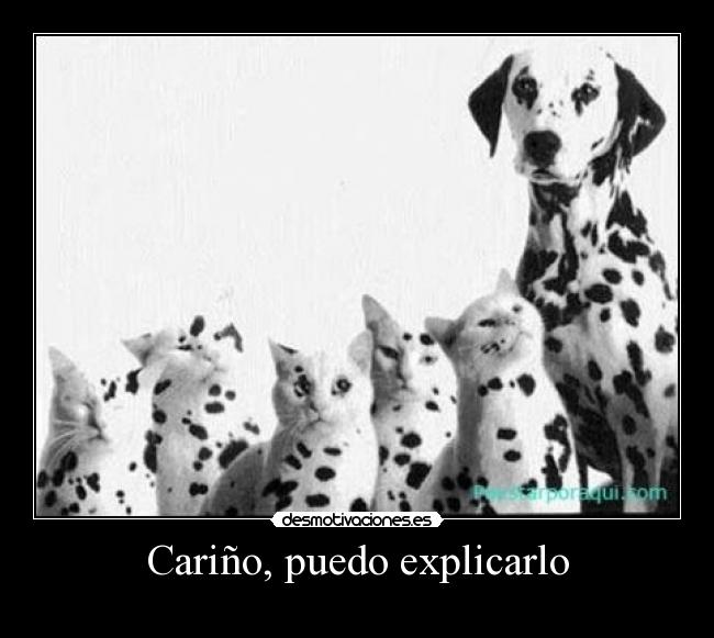 Cariño, puedo explicarlo -