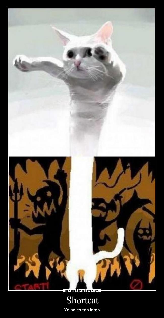Shortcat - Ya no es tan largo