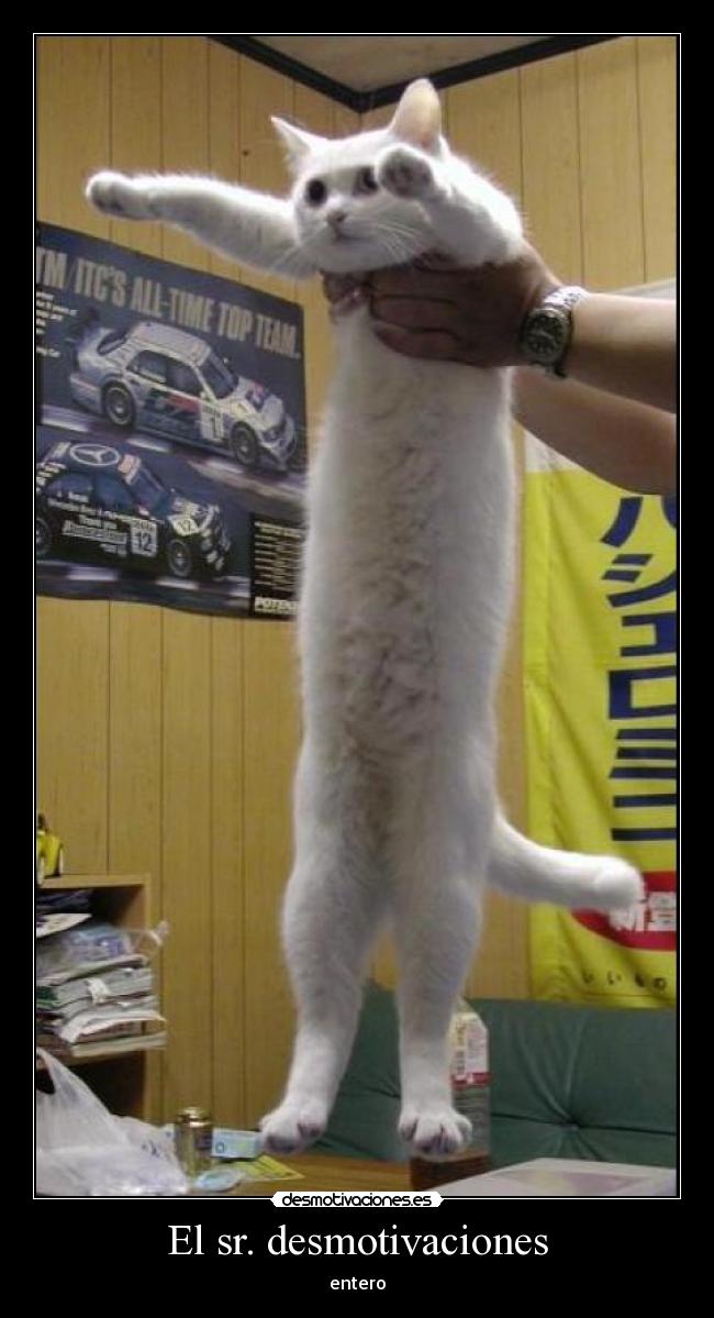El sr. desmotivaciones -