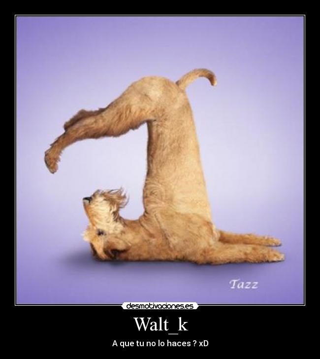 Walt_k - A que tu no lo haces ? xD