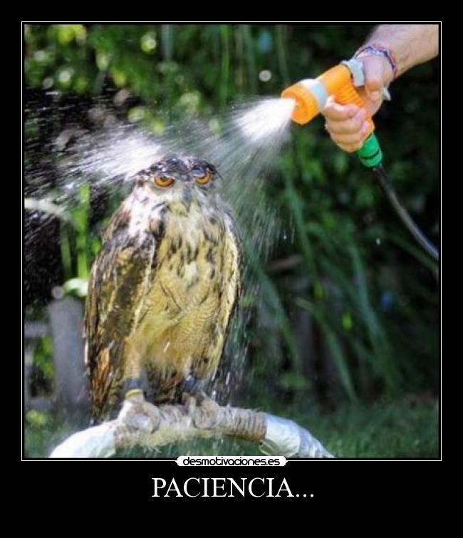PACIENCIA... -