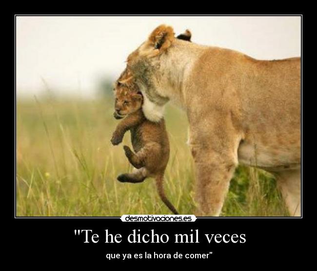 Te he dicho mil veces - que ya es la hora de comer