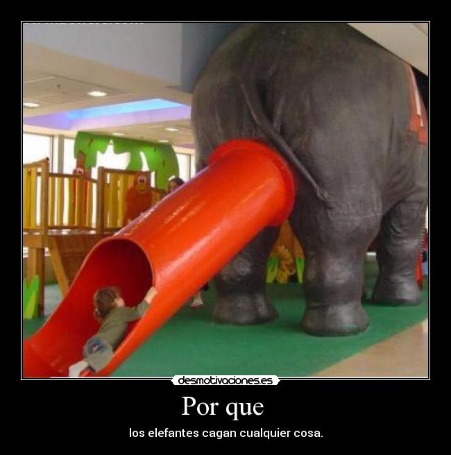 Por que - los elefantes cagan cualquier cosa.