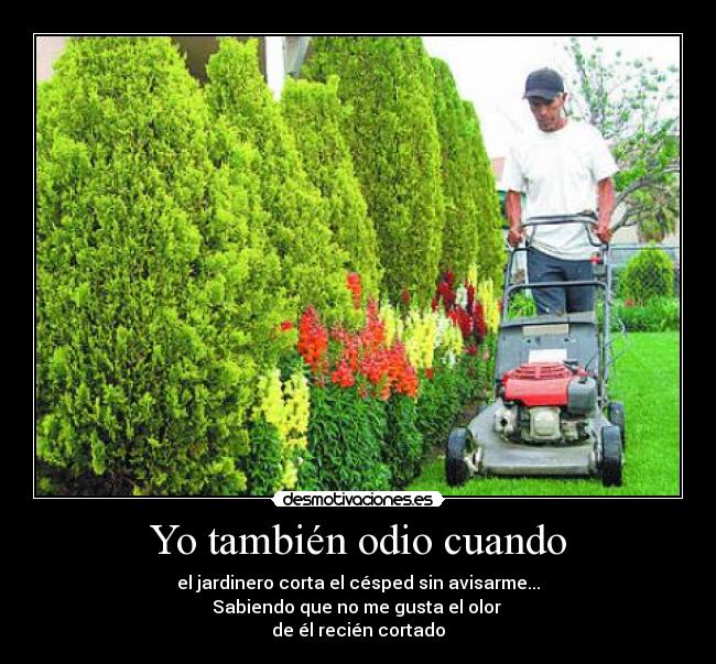 Yo también odio cuando -