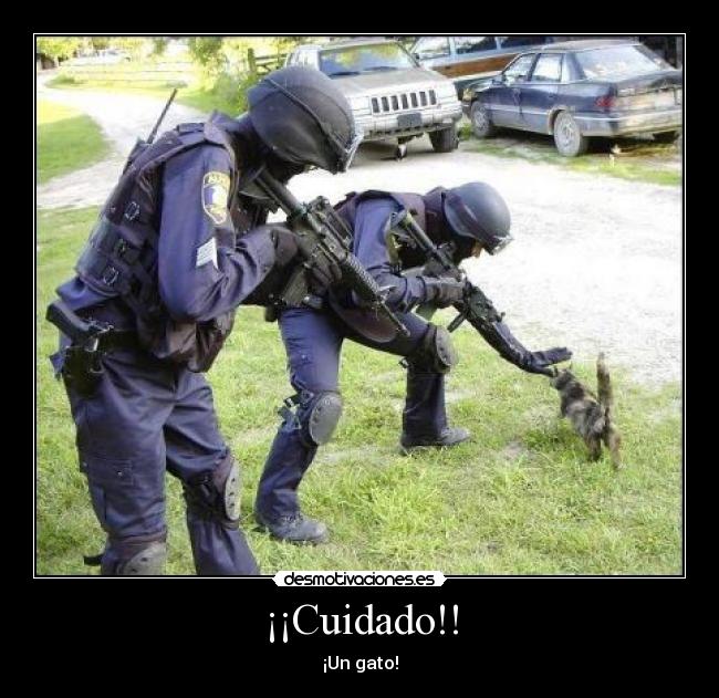 ¡¡Cuidado!! - ¡Un gato!