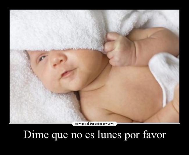 Dime que no es lunes por favor -
