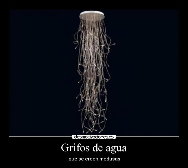 carteles medusas desmotivaciones