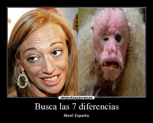 Busca las 7 diferencias - Nivel: Experto.