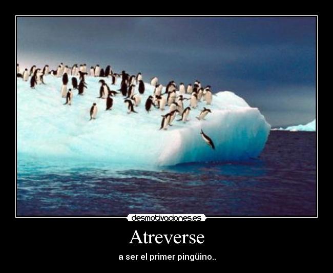 carteles imprudencia pinguino valor arriesgar natyhoof desmotivaciones