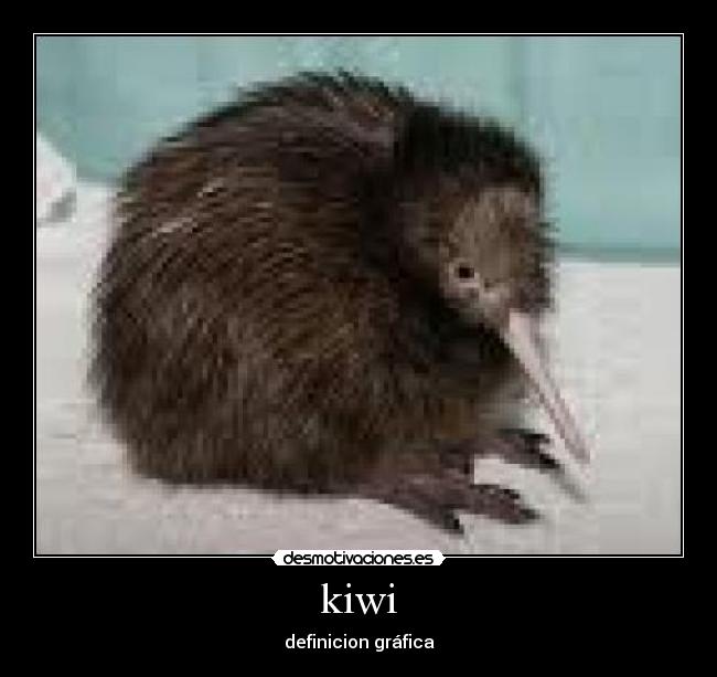 kiwi - definicion gráfica
