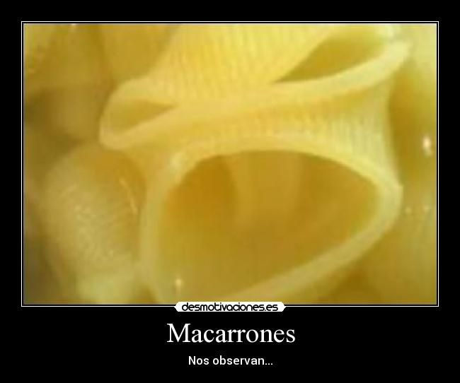 carteles macarrones desmotivaciones