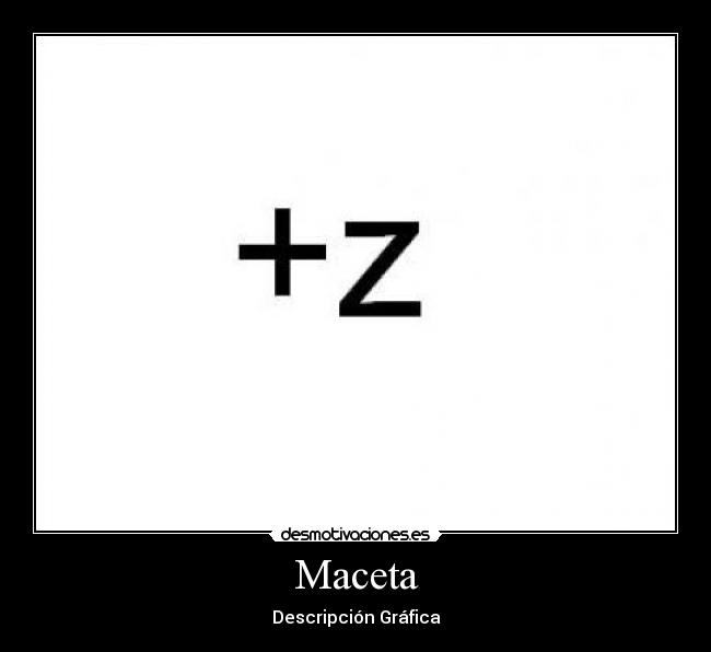 Maceta - 