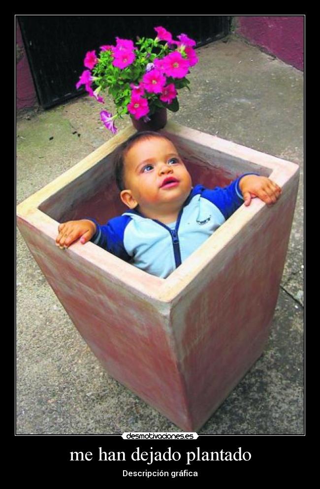 me han dejado plantado - Descripción gráfica