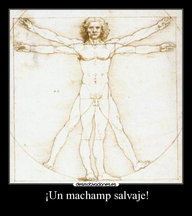 carteles machamp salvaje desmotivaciones