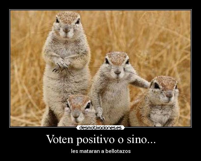 Voten positivo o sino... - les mataran a bellotazos