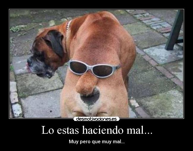 carteles perro mal desmotivaciones