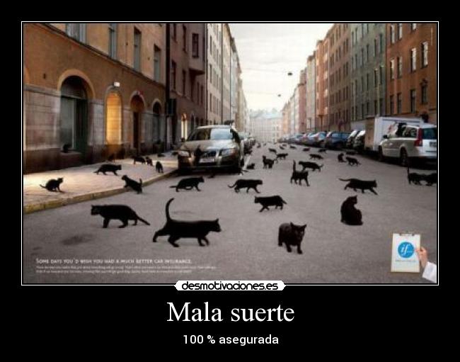 Mala suerte - 100 % asegurada