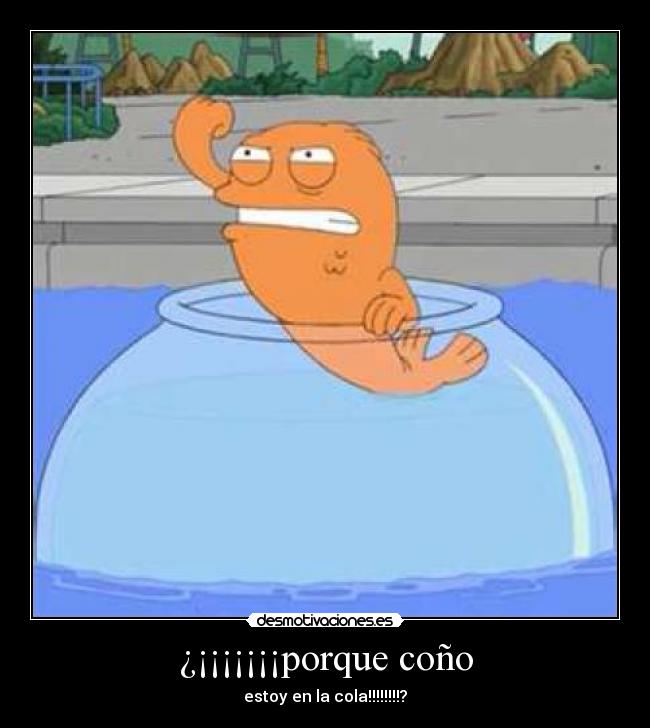 ¿¡¡¡¡¡¡¡porque coño - estoy en la cola!!!!!!!!?