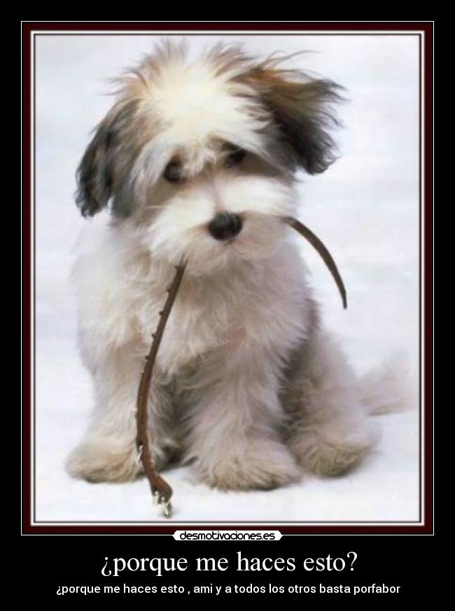 ¿porque me haces esto? - ¿porque me haces esto , ami y a todos los otros basta porfabor