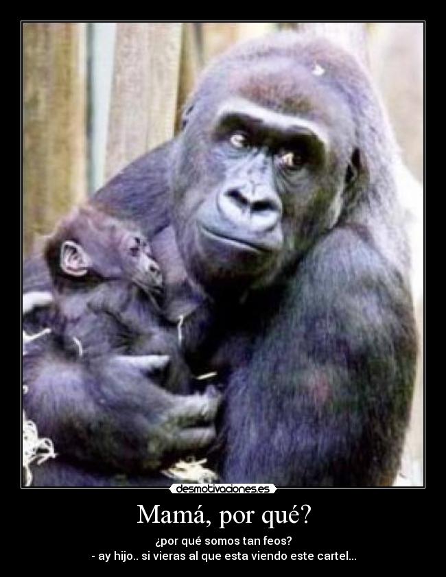 Mamá, por qué? -