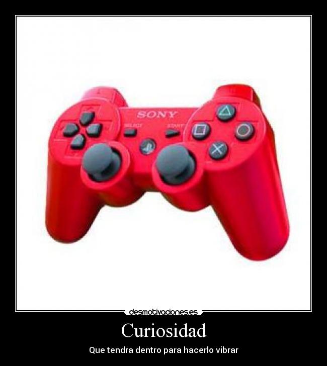 Curiosidad - Que tendra dentro para hacerlo vibrar